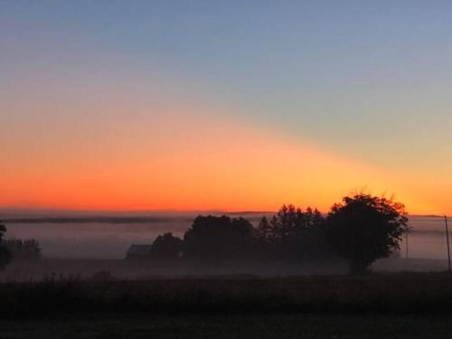 a sunset with fog in a field with trees at Farmhouse Resort in Midhurst