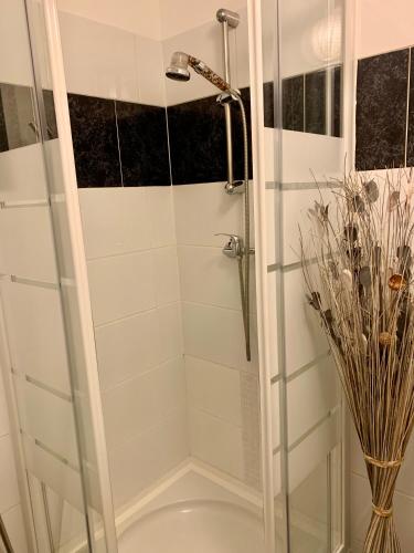 a shower with a glass door and a vase at Le nid du Piémont in Barr