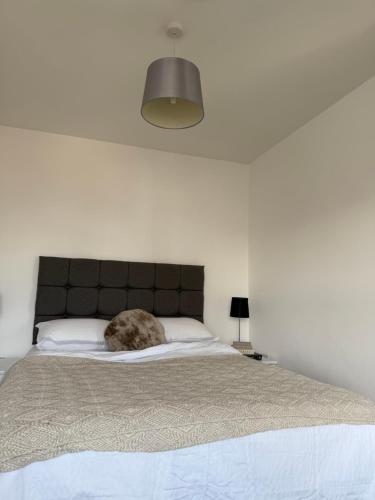 a cat laying on a bed in a bedroom at Birmingham City Centre-2 Mins to Station, City Views in Birmingham