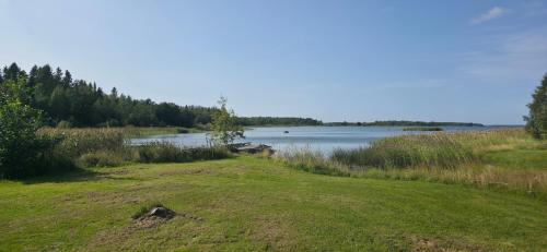 a grassy field next to a body of water at Merenkurkku in Molpe