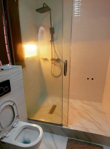 a bathroom with a shower and a toilet at The Ambassadors Hotel in Lagos
