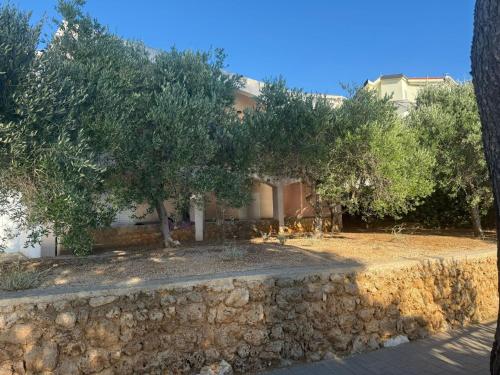 a house with trees and a stone wall at Apartment Per in Stara Novalja