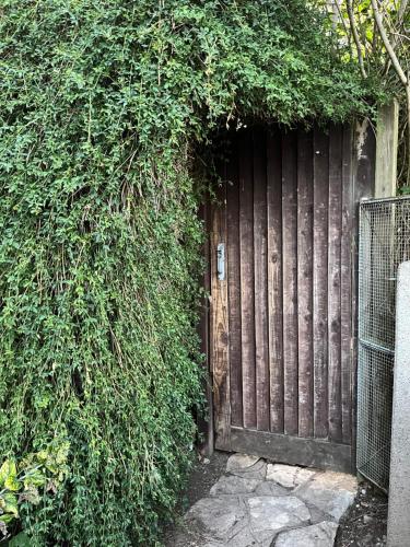 a wooden door with ivy growing around it at Apple Tree Chalet in Bristol