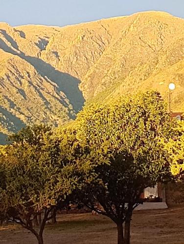 due alberi di fronte a una montagna di La Porteña a Cortaderas