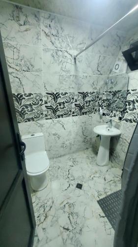 a bathroom with a toilet and a sink at Cottage Naiosi in Pshavi 