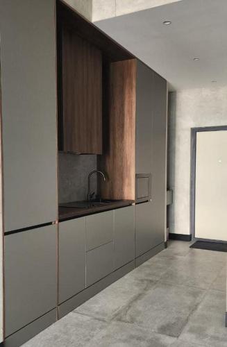 Cuina o zona de cuina de Park Residence 2