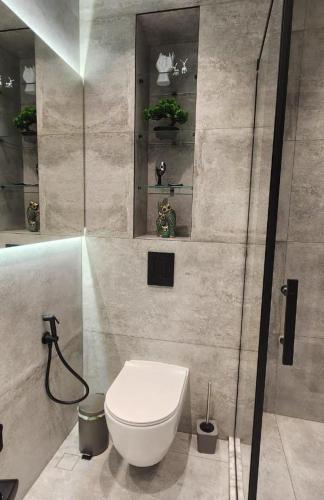 un bagno con wc e doccia di Park Residence 2 a Nardaran