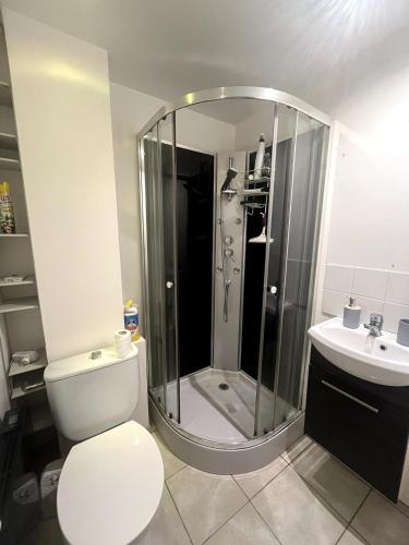 a bathroom with a shower and a toilet and a sink at Studio pratique - Jardin privé in Grabels