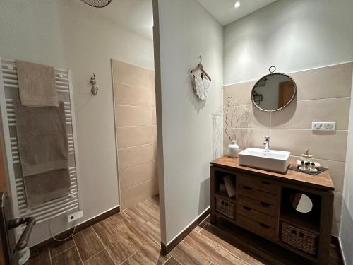 a bathroom with a sink and a mirror and a shower at Aux 3 Forêts in Bizeneuille