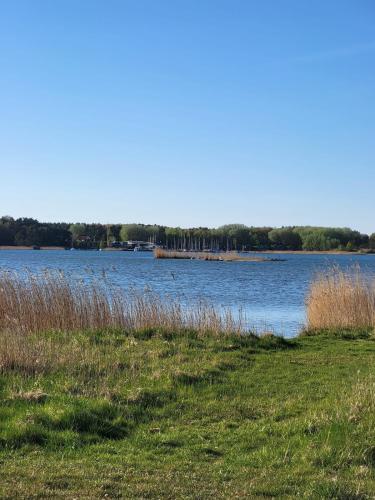 a large body of water with grass and a field at Deine Ruhe Oase mit Waldblick in Gustow