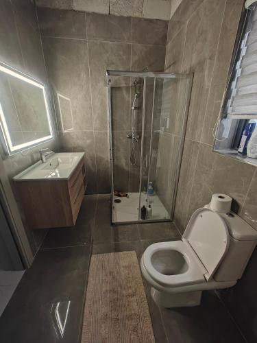 a bathroom with a shower and a toilet and a sink at Carina Mansion in Birżebbuġa