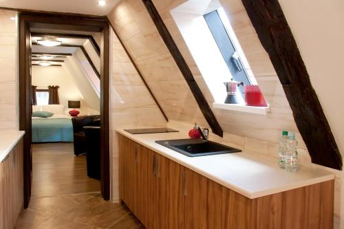 kuchnia ze zlewem w małym domku w obiekcie Apartamenty Hotelu Pod Orłem w Toruniu