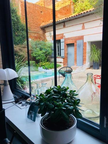 a potted plant sitting on a desk in front of a window at Casita El Lobo in Montech