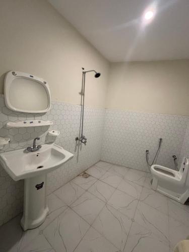 a bathroom with a sink and a toilet at Aba-SHAH GUEST HOUSE SKARDU in Skardu