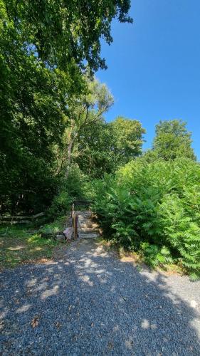 a person standing on a gravel road near trees at Vressence in Vresse-sur-Semois