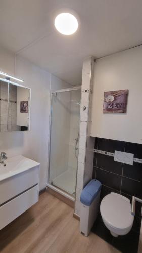 a bathroom with a shower and a toilet and a sink at Vressence in Vresse-sur-Semois
