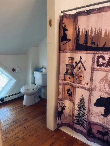 a bathroom with a toilet and a shower curtain at Allegory Inn in Twin Mountain