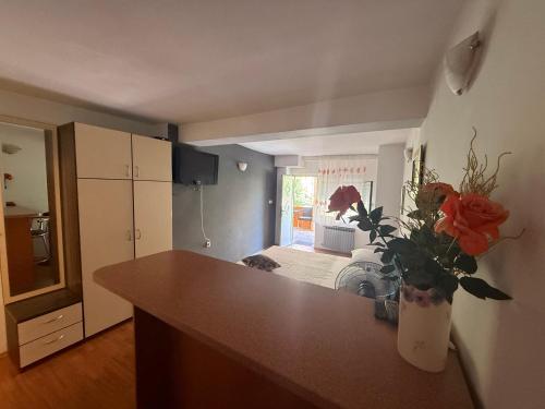 Kuchyň nebo kuchyňský kout v ubytování Ivica House