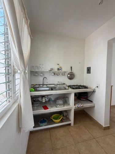 eine Küche mit Spüle und Arbeitsplatte in der Unterkunft Casa Palms in San Francisco