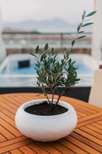 a small tree in a pot on a wooden table at Lindos Zen luxury villa in Líndos