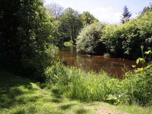 a river with trees and grass in a field at 6 person holiday home in Hovborg-By Traum in Hovborg