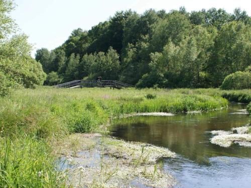 a bridge over a river in a field with trees at 6 person holiday home in Hovborg-By Traum in Hovborg