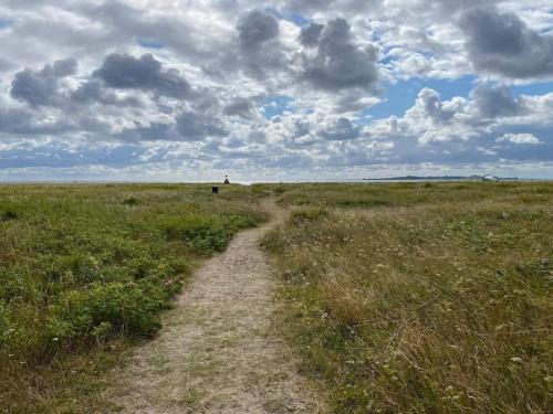 a dirt road in a field with a cloudy sky at 8 person holiday home in Haderslev in Haderslev