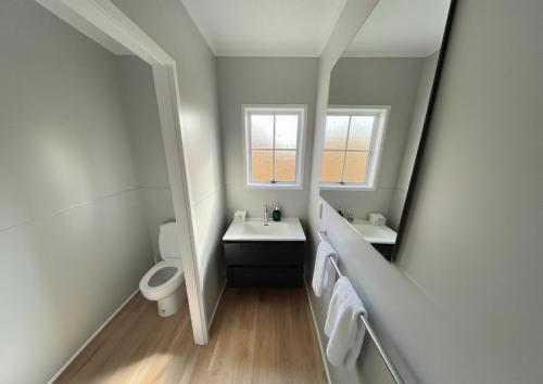 a bathroom with a mirror and a sink and a toilet at Boundary Court Motor Inn in Hamilton