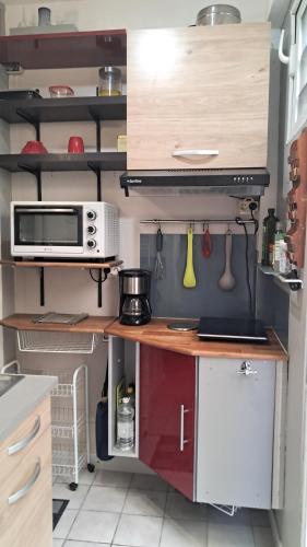 a kitchen with a counter with a microwave and a stove at Grand F2, spa, jardin, parking in Schœlcher