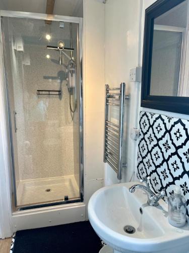 a bathroom with a shower and a sink at Modern Cabin with large private garden in Old Romney
