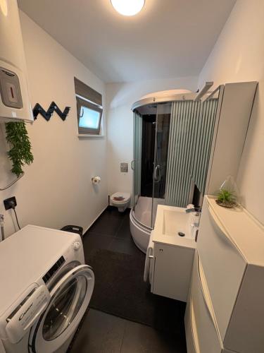 a bathroom with a shower and a sink and a toilet at Apartment Villa Anima in Kostrena