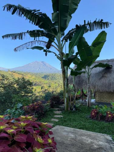 a palm tree with a mountain in the background at Laa Cabana Lombok Glamping in Sapit