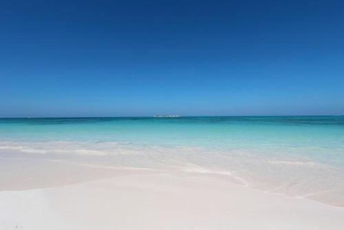 a beach with the ocean and the blue water at Windsong home in South Palmetto Point