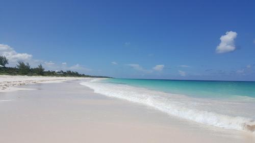 a beach with the ocean and a blue sky at Halcyon House home in Savannah Sound