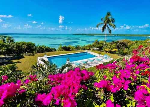 a swimming pool with pink flowers and the ocean at Halcyon House home in Savannah Sound