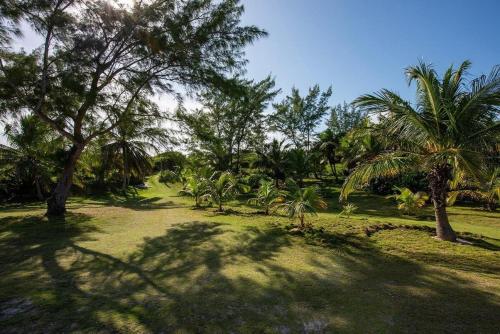 a park with palm trees and a field of grass at Atlantic Sunrise Villa villa in James Cistern