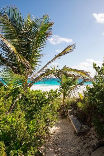 a bench on a beach with palm trees and the ocean at Atlantic Sunrise Villa villa in James Cistern