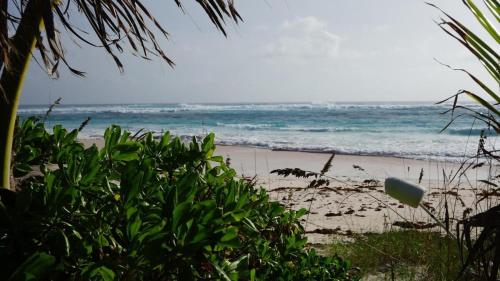 a view of a beach with the ocean in the background at Atlantic Sunrise Villa villa in James Cistern