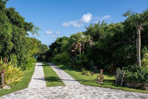 a path through a garden with palm trees at Provender home in Savannah Sound