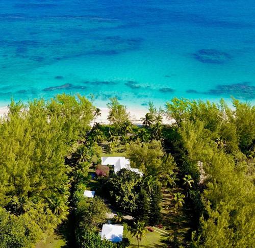 an aerial view of a resort with trees and the beach at Poponi House home in North Palmetto Point