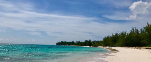 a beach with trees and the ocean on a cloudy day at Poponi House home in North Palmetto Point