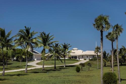 a group of palm trees in front of a house at Plage Rose Estate home in South Palmetto Point
