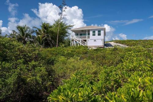 a house on top of a hill with bushes at Lavender Beach House home in James Cistern