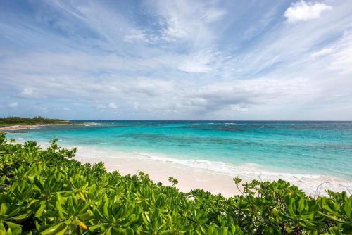 a beach with turquoise water and green bushes at Palm Hill House home in Rock Sound