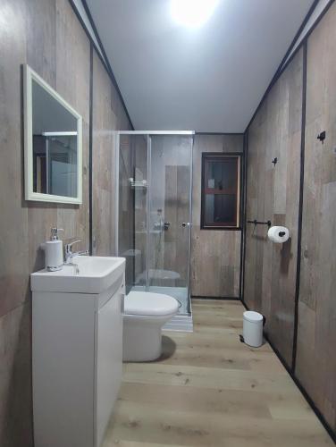 a bathroom with a toilet and a sink and a shower at Cabañas Saiko in Futaleufú