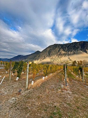 a fence in a field with a mountain in the background at Vineyard Vacation Home Hot Tub Sunroom in Keremeos