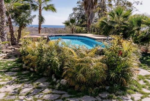 a swimming pool in a garden with palm trees at Villa Gardenia - Oceanview Villas w Pool in Todos Santos