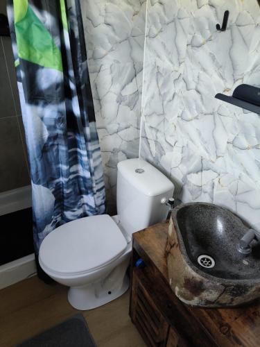 a bathroom with a toilet and a sink at Chalet Timber - close to the woods in Anloo
