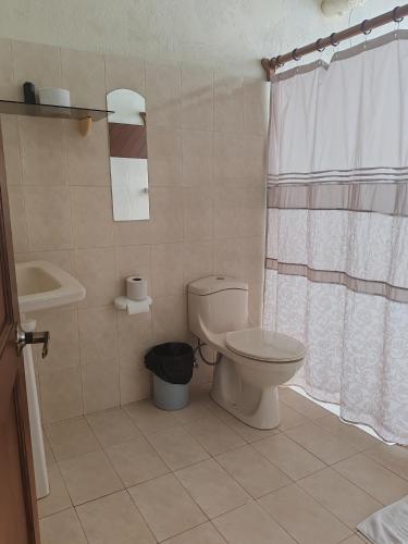 a bathroom with a toilet and a sink at Lodge Lake Arenal in Tilarán
