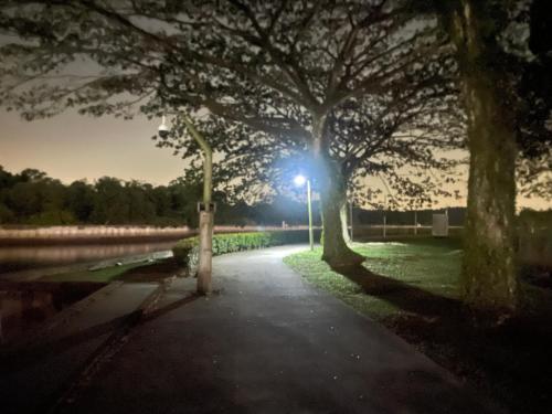 a park at night with a street light and trees at Seaview shared apartment in Johor Bahru